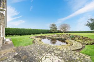 Ornamental pond- click for photo gallery